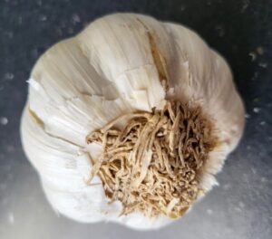 Knoblauch und erhöhtes Verlangen – Was steckt dahinter?