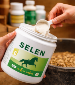 Mögliche Verbindung zwischen Selen und Koppen bei Pferden