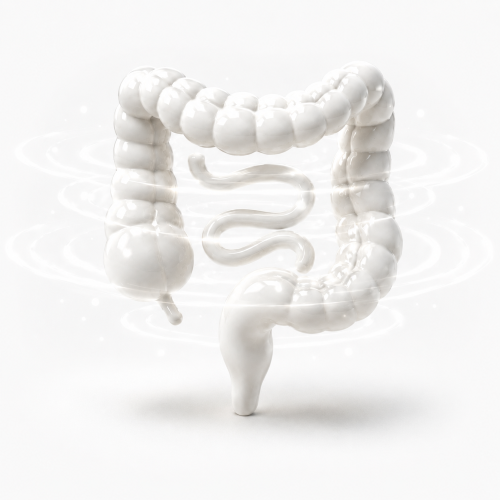 Darm-Check Bioresonanz Testkit